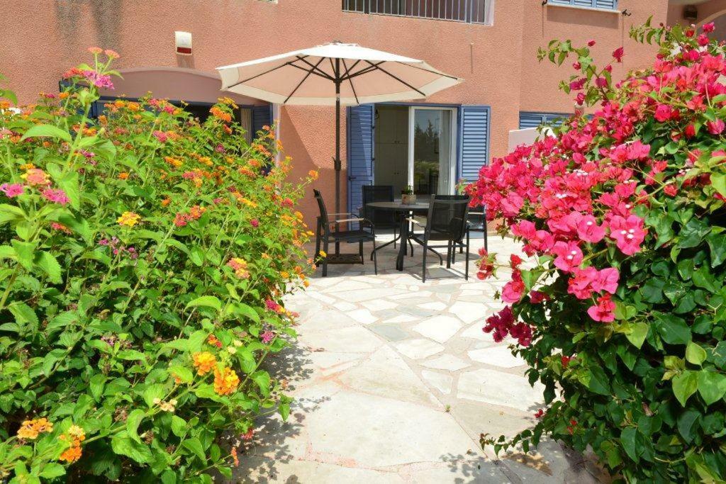 Limnaria Villas Sunny Garden Apartment Pafos Zewnętrze zdjęcie